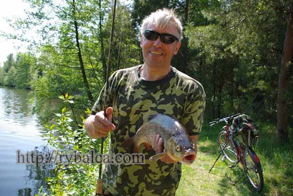 Поимка жереха - редкостная удача Поимка жереха - редкостная удача