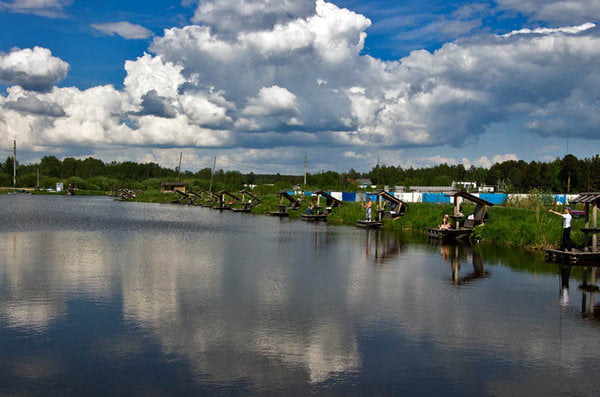 На оборудованных карповых прудах На оборудованных карповых прудах сазана нет