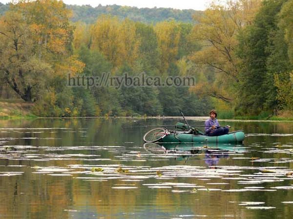 окунь на удочку