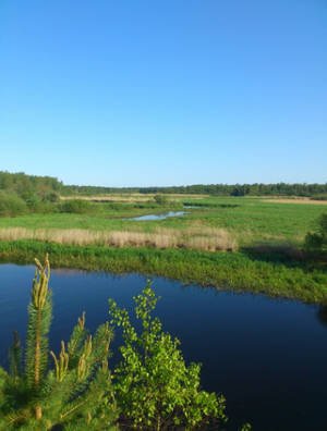 река в Тверской области река в Тверской области