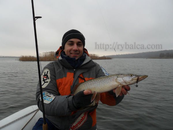 При ловле щуки без спиннингового поводка не обойтись