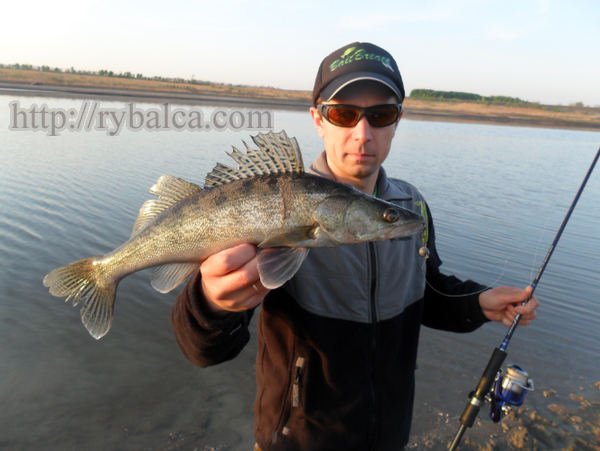 ловля судака на микроджиг