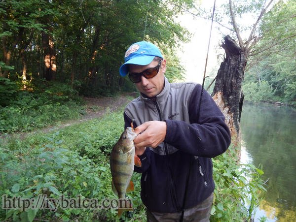 Микроджиг. Микроджиговая ловля окуня