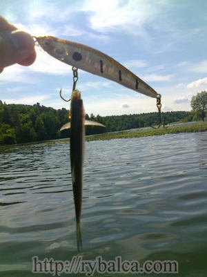 уклейка на воблер уклейка на воблер