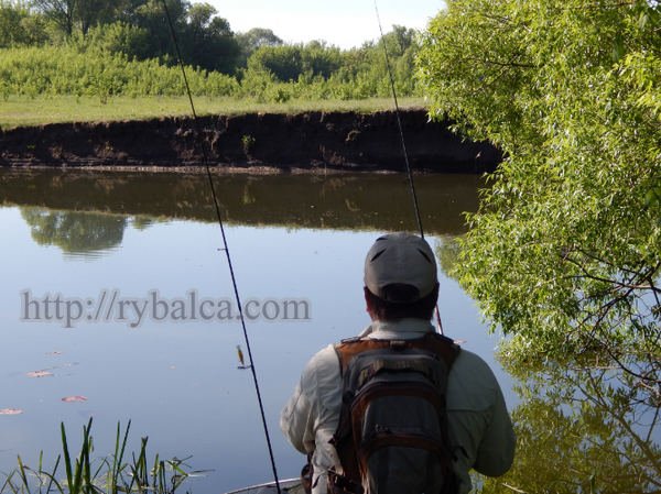 уловистое место для ловли