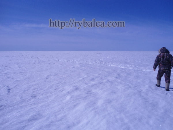 озеро - место рыбалки озеро Чаны