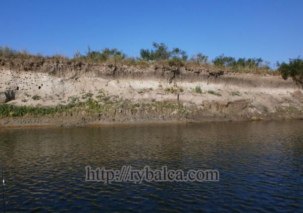 Берега Ворсклы фото Берега Ворсклы фото