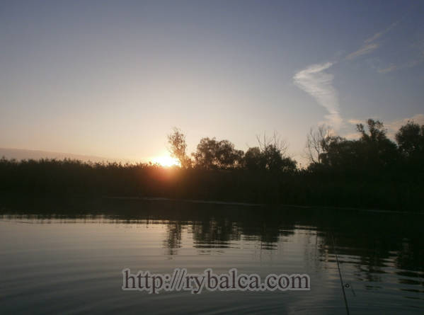 Ворскла, Вильховатка Ворскла, Вильховатка