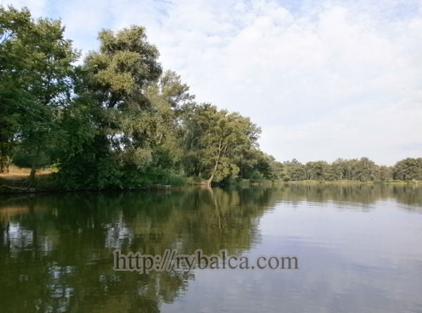 Ворскла фото 4 Ворскла фото 4