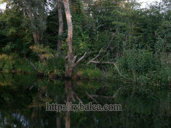 Красоты берегов Ворсклы Красоты берегов Ворсклы