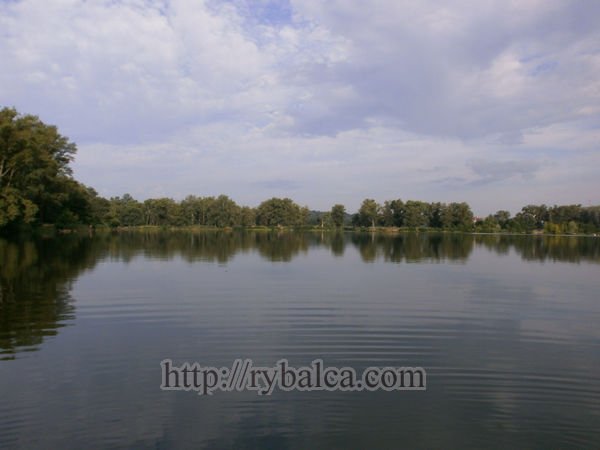 Просторы Ворсклы Просторы Ворсклы