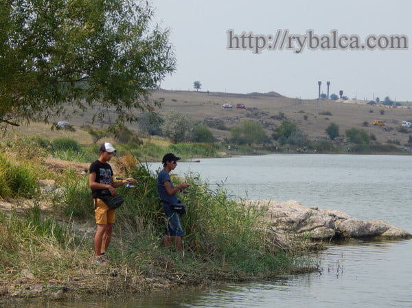 Софиевское водохранилище фото Софиевское водохранилище