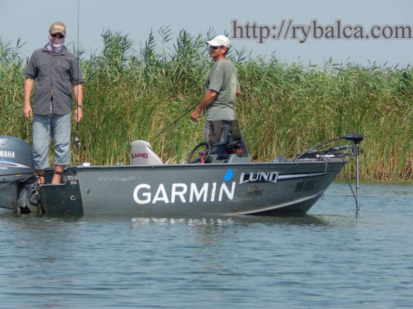 Днепр, дельта Днепр, дельта