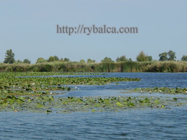 Днепр, низовья Днепр, низовья