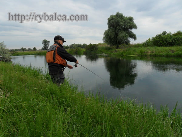 твичинг фото