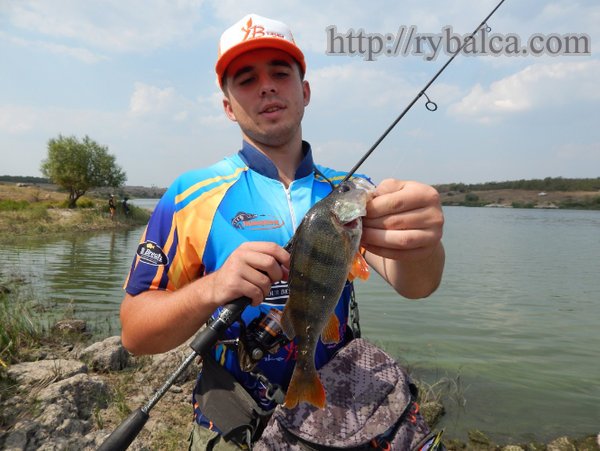 участник чемпионата участник чемпионата