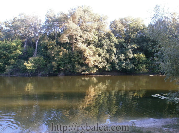 Псел отдых Псел отдых