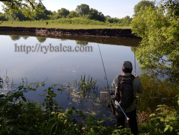 Секреты спиннинга Секреты спиннинга