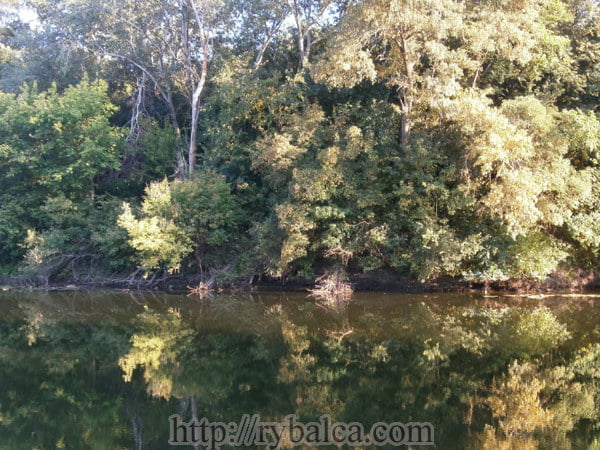 берега Псла берега Псла