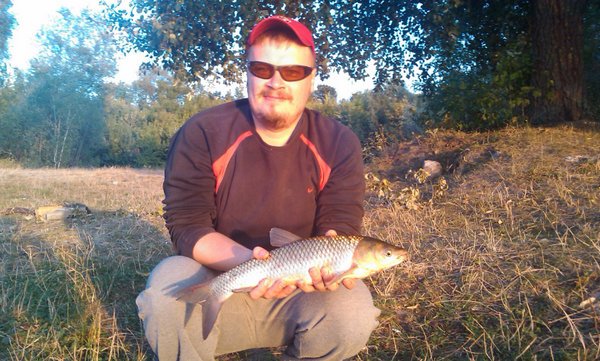 Белый амур Белый амур