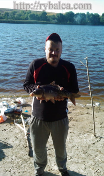 Зеркальный карп Зеркальный карп