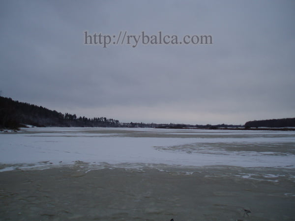 Озеро Белое, Рязанская область Озеро Белое, Рязанская область