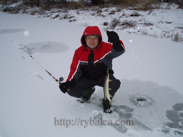 первая зимняя щука