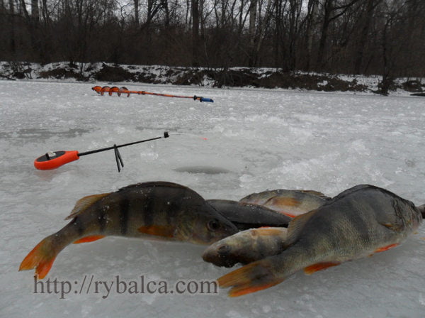 Зимняя рыбалка. Зимние снасти. Наживка и прикормка
