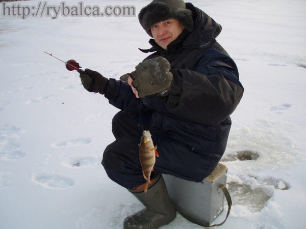 Окунь - первый улов