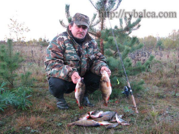 Петр Балашов, автор статей