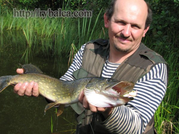 Петр Балашов