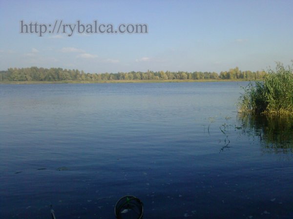 Рыба и погода