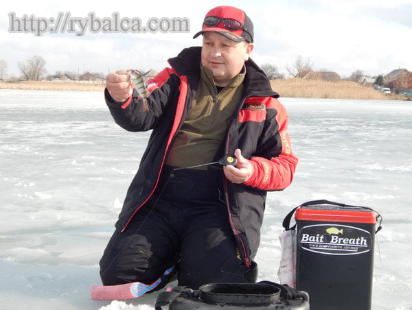 Зимняя рыбалка на окуня