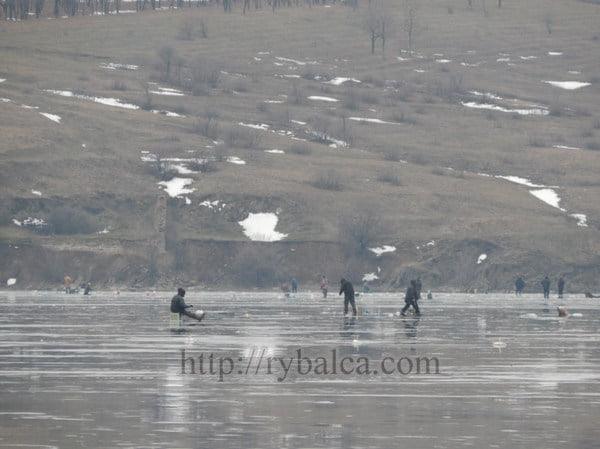 Ловля окуня на мормышку