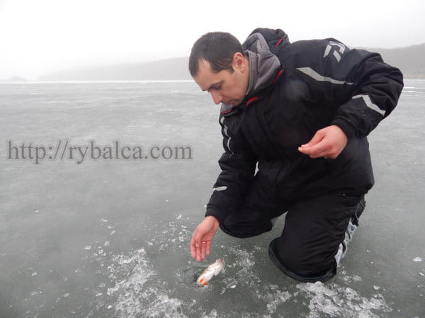 Окунь на мормышку