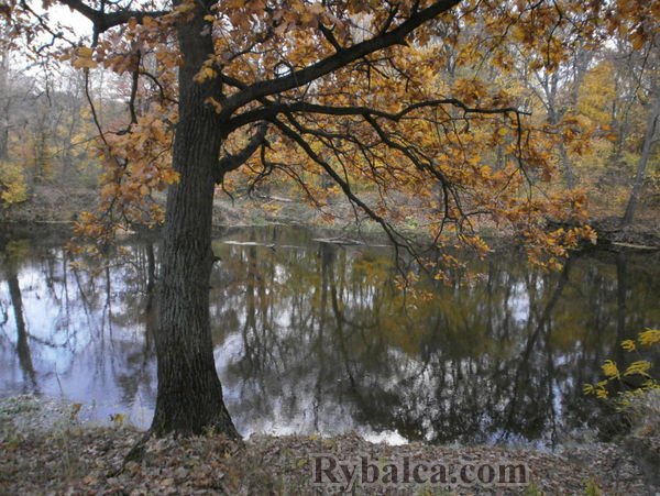 фото на реке на реке