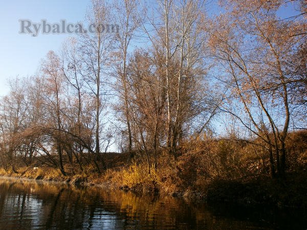 Береговая линия