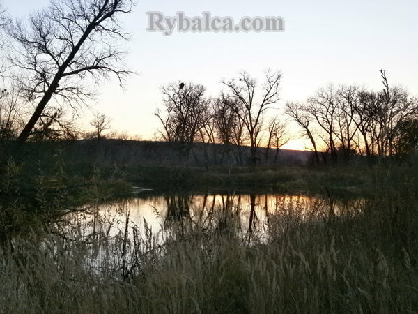 Вечерняя река