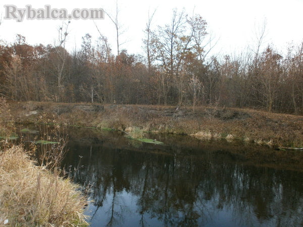 Высокий берег