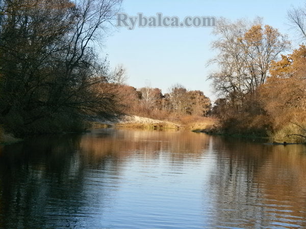 Красота природы