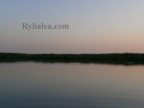 Река на зорьке