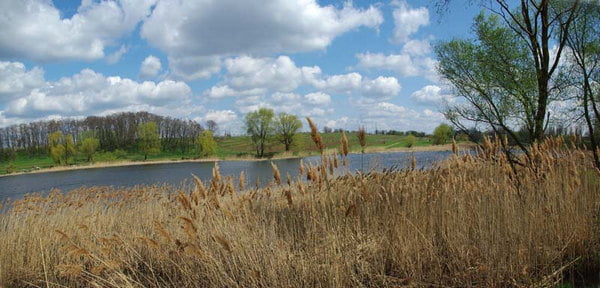 Начало мая лучшее время для ловли карася